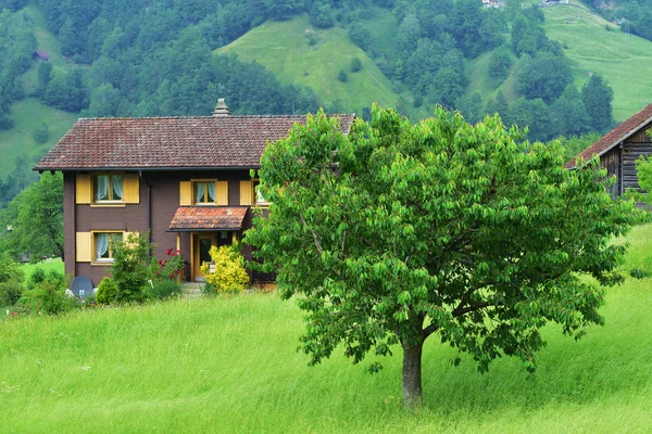Το εντυπωσιακό αλπικό τοπίο στην καντόνιο Uri, Ελβετία — Φωτογραφία Αρχείου