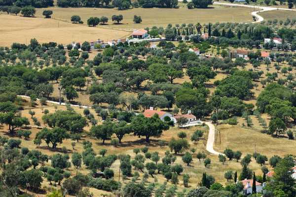 Rural landscape. Portugal — Stock Photo, Image