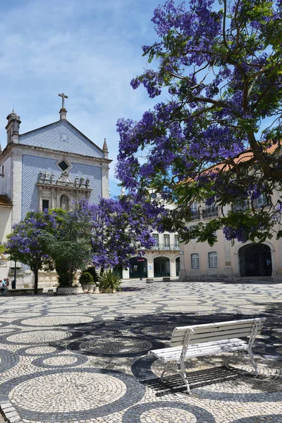 Aveiro Portekiz 'deki Cumhuriyetçi Meydanı.