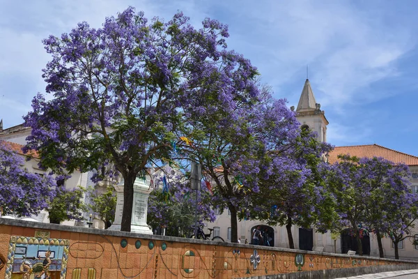 Praca da Republica tér Aveiro Portugáliában. — Stock Fotó