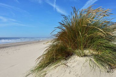 Costa Nova beach Aveiro, Portekiz