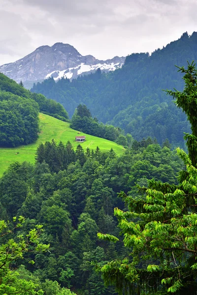 Impresionante paisaje alpino en el cantón Uri, Suiza — Foto de Stock