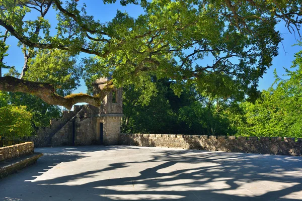 Sintra nyilvános park, Portugália — Stock Fotó