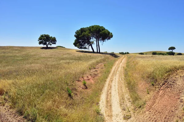 Paisaje rural, Portugal — Foto de Stock