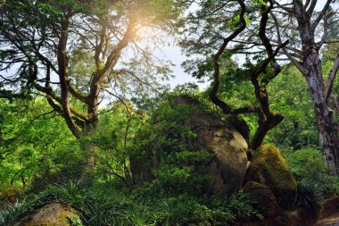 Park Sintra, Portekiz