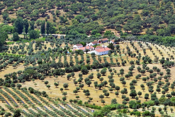 Kırsal manzara. Portekiz — Stok fotoğraf