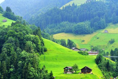 Alp manzarada çarpıcı: Kanton Uri, İsviçre