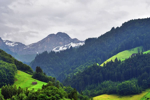 Splendido paesaggio alpino nel cantone di Uri, Svizzera — Foto Stock