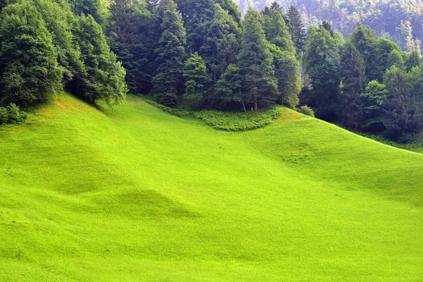 Impresionante paisaje alpino en el cantón Uri, Suiza —  Fotos de Stock