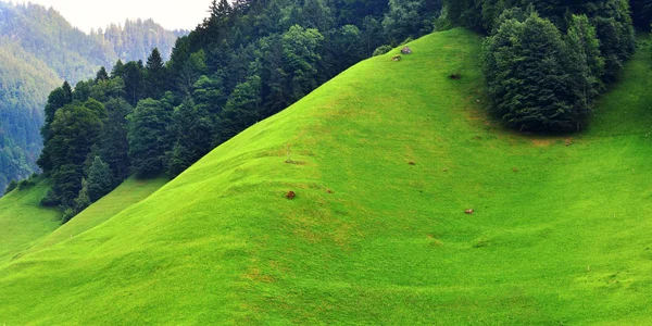 Paisagem alpina deslumbrante no cantão de Uri, Suíça — Fotografia de Stock