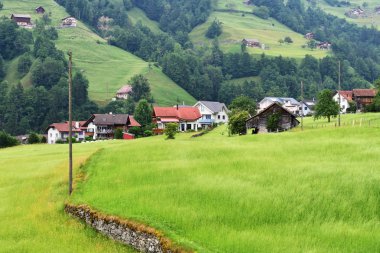 Alp manzarada çarpıcı: Kanton Uri, İsviçre