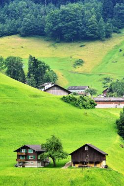 Alp manzarada çarpıcı: Kanton Uri, İsviçre