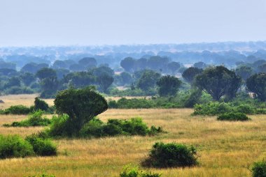 Kraliçe Elizabeth Parkı, Uganda