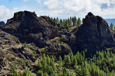 Gran Canaria manzara, İspanya