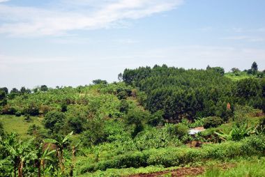 Uganda kırsal manzara, Afrika