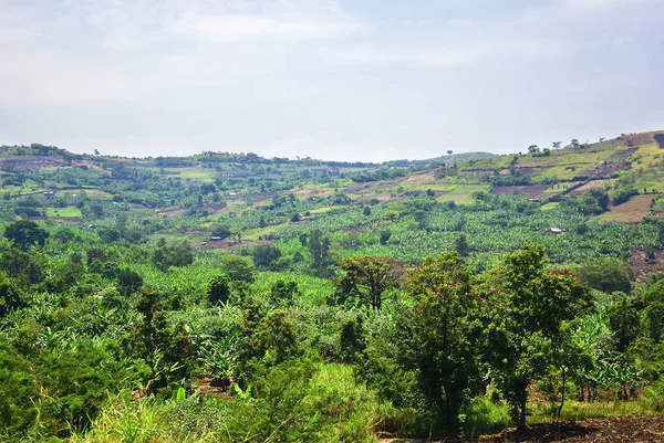 Uganda paisaje rural, África — Foto de Stock