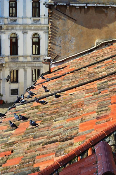 Tetto a Venezia — Foto Stock