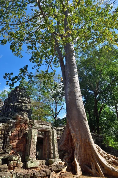 Tempio di Bantey Khde ad Angkor Wat, Cambogia — Foto Stock