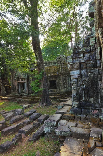 Templo de Ta Prohm, Angkor Wat, Camboja — Fotografia de Stock