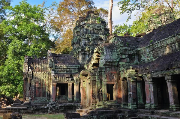Ta prohm świątyni, angkor wat, Kambodża — Zdjęcie stockowe