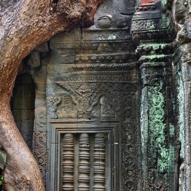 ta prohm Tapınağı, angkor wat, cambodia