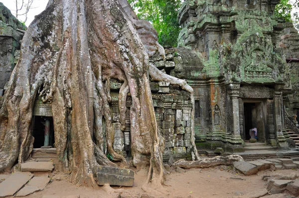 Ta prohm-templet, angkor wat, Kambodja — Stockfoto
