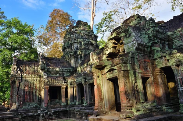 Tempio di Ta Prohm, Angkor Wat, Cambogia — Foto Stock