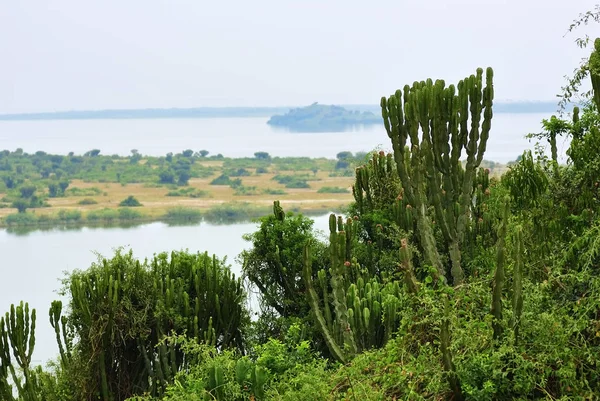 Lago George en Uganda — Foto de Stock