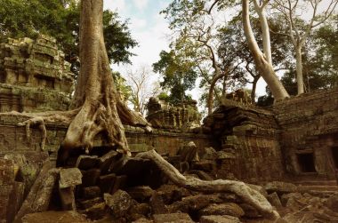 ta prohm Tapınağı, angkor wat, cambodia