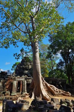 Bantey Khde Tapınağı Angkor Wat, Kamboçya'da