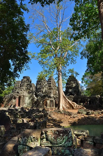 Bantey Khde chrám Angkor Wat, Kambodža — Stock fotografie