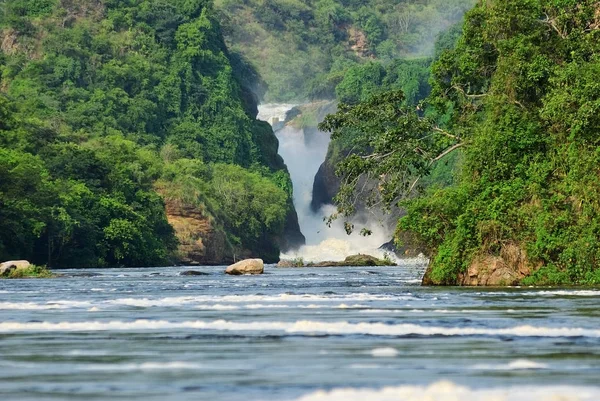 Murchison Falls, Uganda, África — Fotografia de Stock