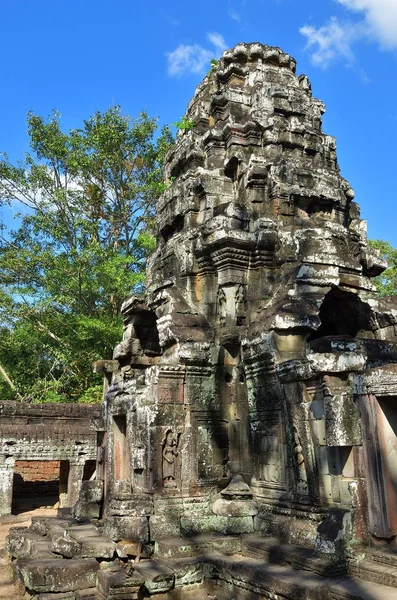Ta Prohm Temple, Angkor Wat, Cambodge — Photo