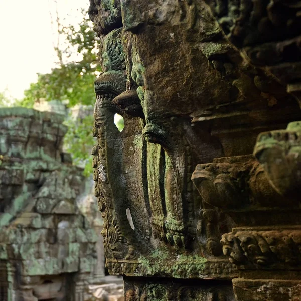 タ ・ プローム寺院、アンコール ワット、カンボジア — ストック写真