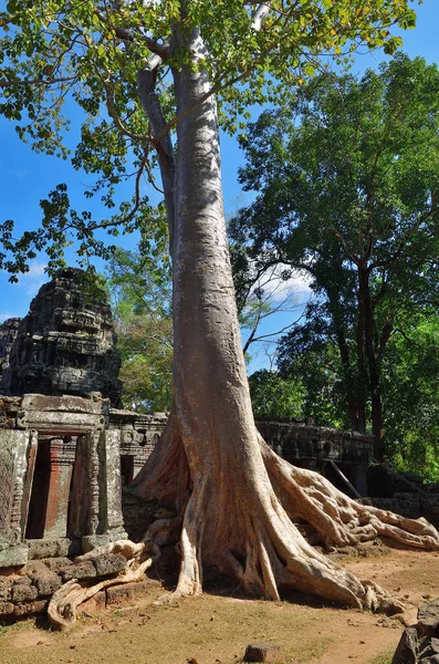 Templo de Bantey Khde em Angkor Wat, Camboja — Fotografia de Stock
