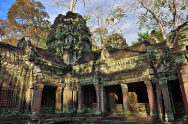 ta prohm Tapınağı, angkor wat, cambodia