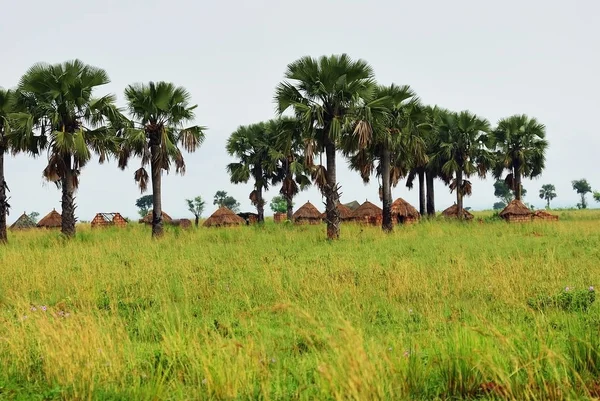 Cabañas en la Aldea en Uganda, África — Foto de Stock