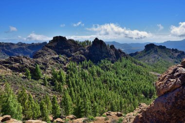 Gran Canaria manzara, İspanya