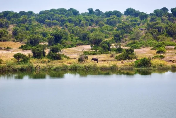 George gölünde Uganda — Stok fotoğraf