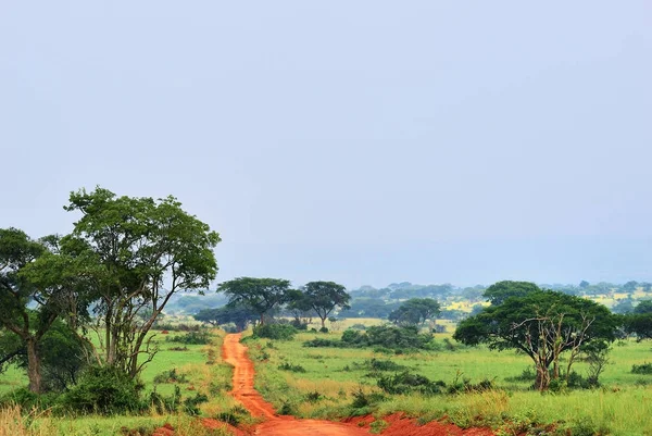 Murchison Falls national park, Uganda — Stock Photo, Image