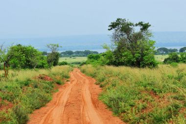 Murchison Falls Milli Parkı, Uganda