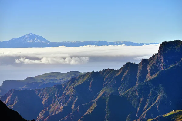 Gran canaria krajina — Stock fotografie