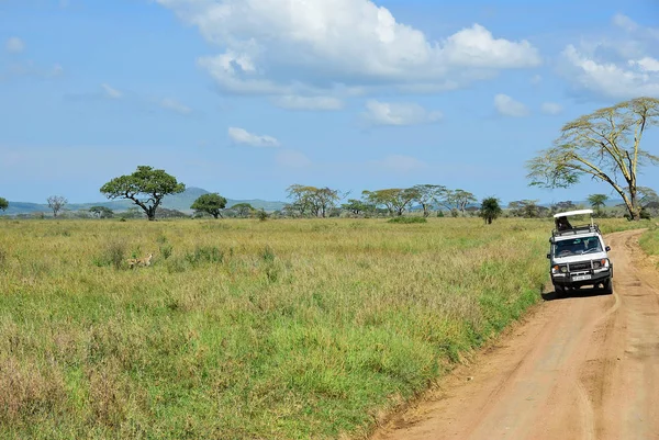 Safari in Serengeti, Tanzania. Touristic car on the road — Stock Photo, Image