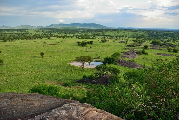 Afryki Serengeti w Tanzanii, — Zdjęcie stockowe