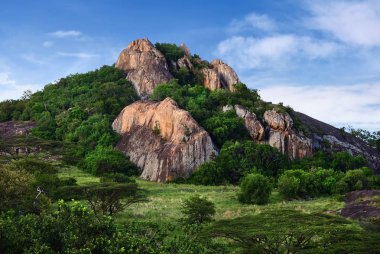 Serengeti Milli Parkı sahne, Tanzanya, Afrika
