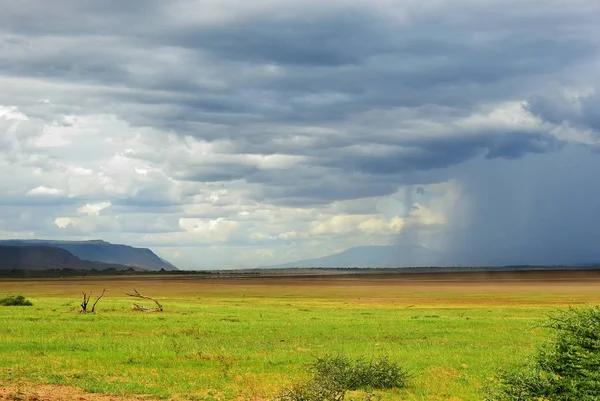 Lago Manyara, Tanzania, África — Foto de Stock