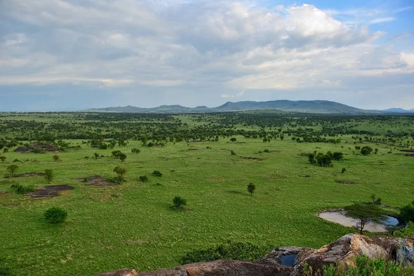 Serengeti, Tanzania, Afrika — Stockfoto