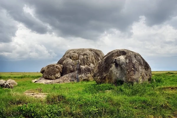 Paisagem do parque nacional Serengeti, Tanzânia, África — Fotografia de Stock