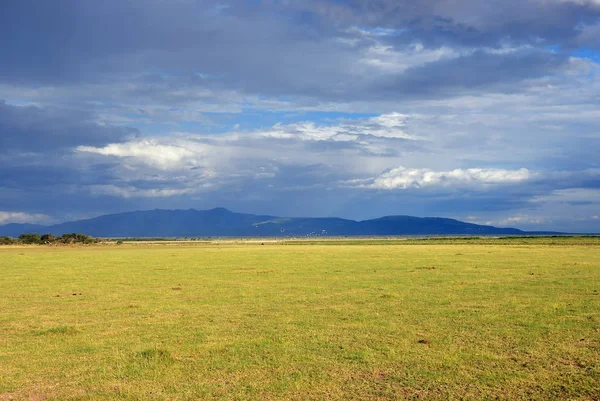 Tanzania, Parque Nacional Lago Manyara —  Fotos de Stock