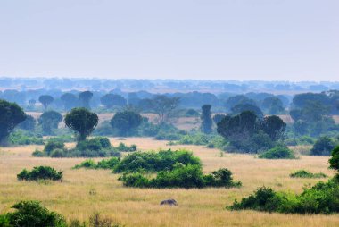 Kraliçe Elizabeth Parkı, Uganda